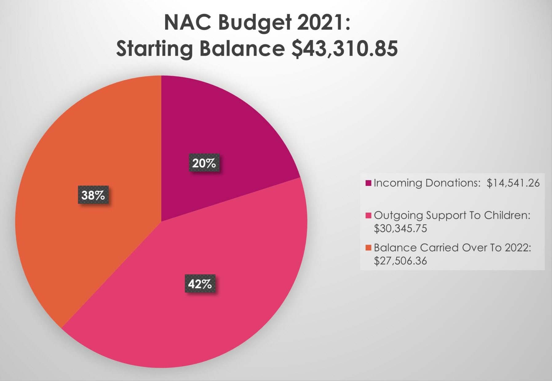 nac budget 2021 revised (2)